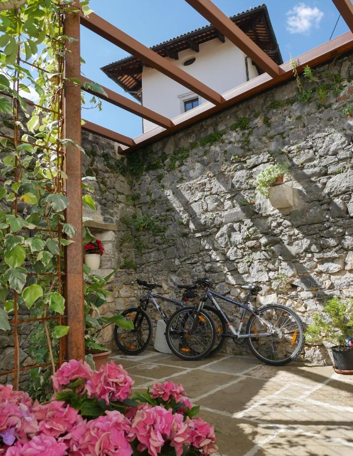 Apartmaji In Sobe Odlicna Hisa Štanjel 외부 사진